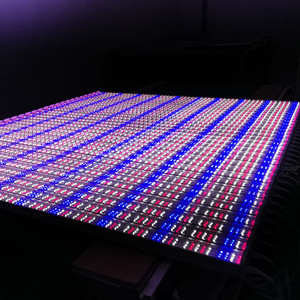 Đèn Tăng Trưởng Thực Vật Mới 2022 10W 20W 30W 40W Đèn <span class=keywords><strong>LED</strong></span> Quang Phổ Toàn Bộ Đèn Thực Vật Nhà Kính Thủy Canh Chiếu Sáng Tăng Trưởng Thực Vật - Product Image 1