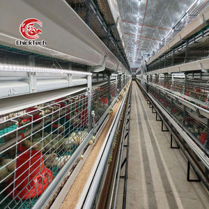 Nouvelle cage automatique pour poulets pondeuses de <span class=keywords><strong>type</strong></span> <span class=keywords><strong>A</strong></span>, en acier galvanisé à chaud argenté, durée de vie supérieure à 18 ans pour l'élevage avicole - Product Image 4