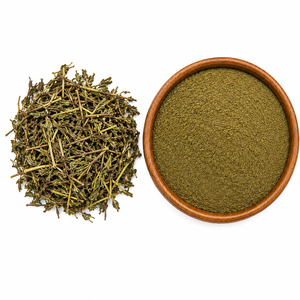 Polvo de Andrographis Paniculata Kalmegh de Alta Calidad para Té Herbal Ayurvédico, Cápsulas, Tabletas y Productos Naturales para el Bienestar - Product Image 3