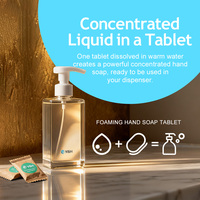 Tablet Sabun Tangan Harga Grosir, Tablet Effervescent Langsung dari Pabrik, MOQ Rendah