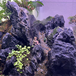 Chinese Draak Steen Voor Decoratie Tuin <span class=keywords><strong>Aquarium</strong></span> - Product Image 4