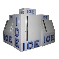Petit sac de marchandisage de glace à porte solide unique pour l'extérieur Bac de stockage de glace 200l Glacière