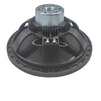 Haut-parleur professionnel de 12 pouces avec woofer de 75 mm en néodyme, bobine vocale de 3 pouces, AES 400W pour DJ, bar, club, performance et spectacle