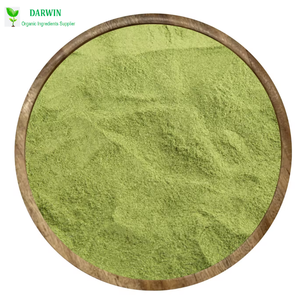 Натуральный органический экстракт листьев Моринги порошок - Product Image 1