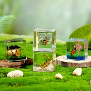 Transparansi tinggi 4cm blok Resin nyata Cicada kalajengking akrilik terbungkus kertas hadiah mewah untuk Halloween Tahun Baru Natal - Product Image 5