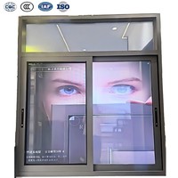 Fenêtres coulissantes horizontales en aluminium résistantes aux intempéries, avec remplacement de vitres anti-impact pour maison résistante aux ouragans
