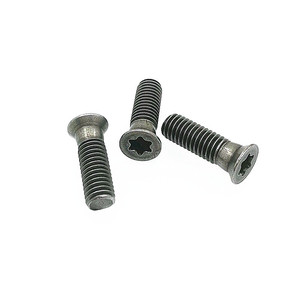 Tornillo de Cabeza Torx M5x13 7.2 82 T20 para Piezas de Maquinaria para Trabajar la Madera, Acero de Alta Precisión - Product Image 1