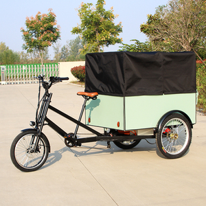 Tricycle à moteur de nouvelle conception, couleurs de quartier, pour le transport de marchandises, camionnette de logistique, <span class=keywords><strong>porte</strong></span>-bagages arrière, vélo électrique de transport de marchandises - Product Image 1