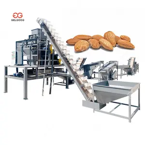 Automatic Hazelnut Sorting Processing Breaking Palm Kernel Shell Cracker Small Nut Cracking And Shelling Almond Crushing Machine