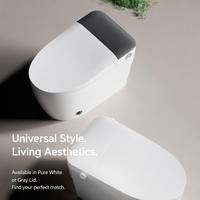 WC intelligent sans électricité, toilette moderne monobloc avec bidet intégré, WC mural sans alimentation