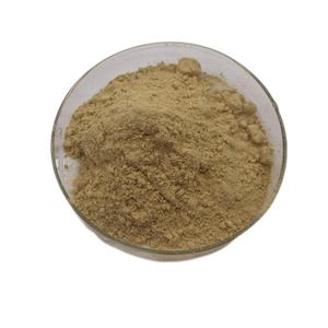 Polvo de semilla de calabaza 10:1 Extracto de semilla de calabaza Extracto de semillas de calabaza - Product Image 4