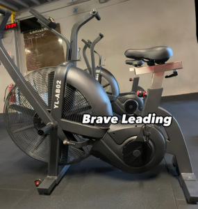 YL-AB02 Bicicleta de aire para cardio y fitness, equipo de gimnasio, venta al por mayor, personalizable con soporte de fábrica, Assault Air Fan Bike - Product Image 2