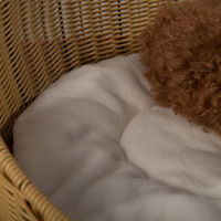 Grand panier tressé pour animaux de compagnie en rotin PP, respirant, lavable et durable, pour chiens et chatons d'intérieur, idéal pour la décoration du salon