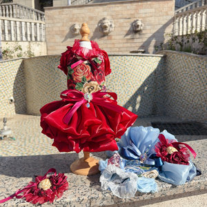 Robe vintage style campagne française, motif petit ours en mousse, originale et mignonne, pour séance <span class=keywords><strong>photo</strong></span> d'animaux, livraison gratuite - Product Image 4