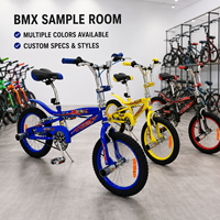 Vente directe d'usine BMX Stunt Bicycle Nouveau cycle BMX à vitesse unique avec fourche en acier pour la course de saut de saleté d'équitation de rue