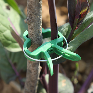 20 Clips Fijadores de Plantas Reutilizables, Soporte para Invernadero, para Fijar Plantas, Enredaderas, Flores, Plántulas, Tallos, Suministros de Jardinería - Product Image 4