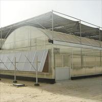 Invernadero de Arco Multi-span Grande de 30 x 100 para Agricultura y Vegetales con Estructura de Acero y Cubierta de Lámina de Policarbonato, Sistema Hidropónico