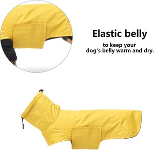 Qiqu Proveedor Personalizado Nuevo Diseño <span class=keywords><strong>Impermeable</strong></span> para Perros Dachshund, Chubasquero Ajustable para Dachshund Miniatura - Product Image 6