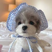 Spot INS Korea Miu Wind Princesse Jupe à bretelles à carreaux bleus pour chien et chat, taille moyenne, avec chapeau pour animal de compagnie en coton, lavable à la main et en machine