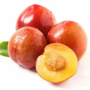 100% natural delicious high quality fresh organic yellow flesh plums