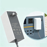 Adaptateur pour alimentation Starlink Mini, adaptateur secteur 30V2A, chargeur mural AC vers DC 30V, adaptateur de prise murale, chargeur rapide 60W