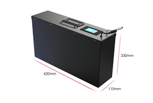 Batterie à décharge profonde 12V 100ah/150ah/200ah/300ah Batterie lithium-ion solaire pour climatisation, système de chauffage mobile DL-12150/4S6P - Product Image 6