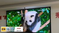 Module d'affichage LED couleur HLT SMD P2.5 320x160mm, luminosité 800 CD, garantie 2 ans, utilisation intérieure, résolution 4K, CMS 16 bits