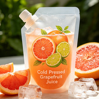 Pochettes à bec verseur transparentes givrées, personnalisables, anti-fuite, de qualité supérieure, pour le stockage de boissons fraîches et de fruits frais