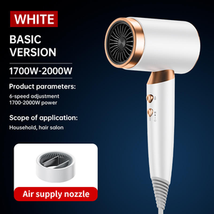 Venta caliente salón ligero bajo ruido secador de pelo de alta velocidad profesional de secado rápido secador de pelo portátil - Product Image 3