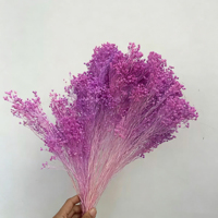 Großhandel: Konservierte Blumen – Naturgetreue, umweltfreundliche Blumen für Boho-Hochzeiten, DIY-Bouquets & Floristenbedarf zum Stylen
