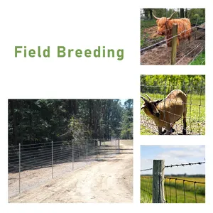 Pagar Lapangan kualitas tinggi untuk pakan ternak di pertanian dan padang rumput juga sebagai hambatan terhadap rusa dan hewan liar