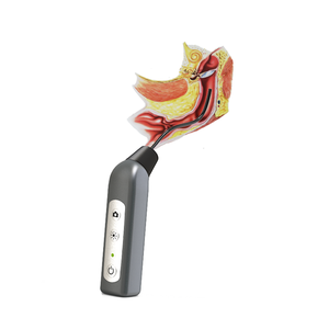 कुत्ते कान नाक गले की परीक्षा के लिए समायोज्य एंडोस्कोप - Product Image 4