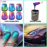 Pigment caméléon de haute qualité TCOWO avec changement de couleur dépendant de l'angle |   Poudre à ongles chromée, résistante aux intempéries pour le revêtement des véhicules