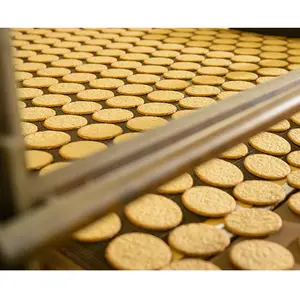 Venta caliente línea de producción de galletas y galletas máquina para hornear galletas duras y blandas para plantas de alimentos