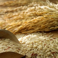 Moulin à riz automatique à haute efficacité machine de traitement de riz paddy décortiqueuse de riz brun pour la maison et la ferme