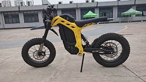 Kn300 Electric Dirtbike Off-road Fat Tire Electric Motorcycle Saige <strong>Kene</strong> Titan 6000w Peakpower 60v LIGHT BEE Ultra Bee - Product Image 3