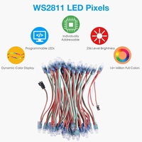 DC 12V WS2811 12mm Diffusé Numérique RGB LED Pixel Lumière Individuellement Adressable Rond LED Module 50pcs/Brin IP68 Étanche