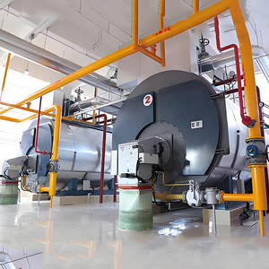 Caldera de Vapor a Gas de la <span class=keywords><strong>Serie</strong></span> WNS de Ahorro Energético, Generador de Vapor Integrado de 1-20 Toneladas, Caldera de Vapor Industrial a Gas - Product Image 4