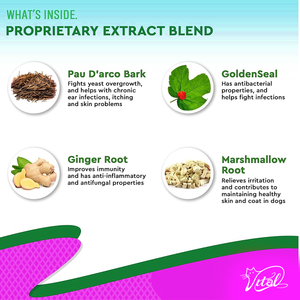 Tự nhiên con chó nấm men nhiễm trùng chống ngứa giọt-thảo dược bổ sung cho da dị ứng cứu trợ làm giảm viêm kích ứng miễn dịch - Product Image 3