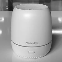 Coloré Led Veilleuse Mini Portable Usb Cool Brume Parfum Huile Essentielle Air Parfum Humidificateur Aroma Diffuseur