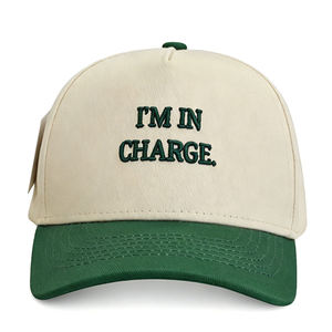 Casquette de baseball pour enfants à 5 panneaux, broderie personnalisée, logo, casquettes de baseball pour enfants, étiquette personnalisée, chapeau de baseball pour enfants - Product Image 4
