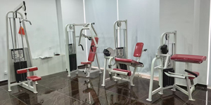 Équipement de fitness commercial personnalisable avec logo pour exercices de pectoraux en position couchée - Product Image 6