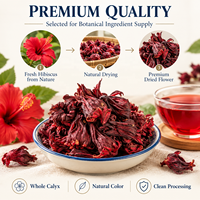 Pemasok Bahan Baku Teh Bunga Hibiscus Kering Grosir Kemasan Kustom Label Pribadi