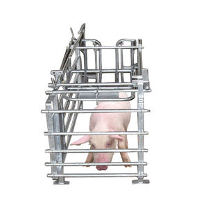 Diseño de pluma de cerdo profesional Caja de gestación de cerdo Pluma de gestación de cerdo con alta calidad - Product Image 1