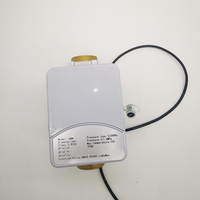 Compteur d'eau ultrasonique sans fil haute précision