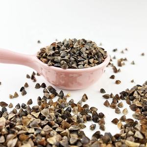 <span class=keywords><strong>Graines</strong></span> de <span class=keywords><strong>sarrasin</strong></span> sucré Naturix, <span class=keywords><strong>graines</strong></span> de micro-pousses pour la culture en intérieur - Product Image 6