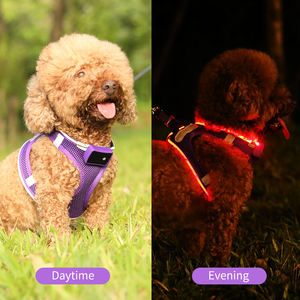 Kasa Logo kustom tipe-c dapat diisi ulang rompi hewan peliharaan Led dapat bernafas <span class=keywords><strong>Harness</strong></span> anjing untuk anjing kecil dan <span class=keywords><strong>Mini</strong></span> - Product Image 3