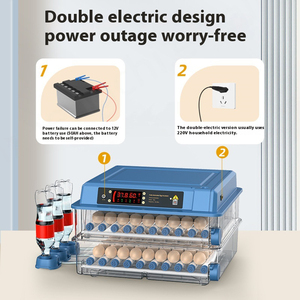 Couveuse à œufs intelligente pour petits ménages pour poulets canards oies pigeons et autres animaux de la ferme - Product Image 4