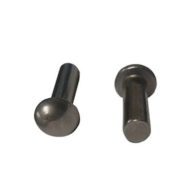 Vis en cuir noir à Double tête en acier massif, pièces, 3mm 6mm, petit Rivet plat en acier inoxydable, vis à fer rond, broche métallique Rivet M12