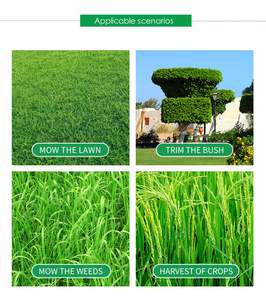 Débroussailleuse à essence 2 temps 52,7 cm³, directement de l'usine, OEM, coupe-herbe, Desbrozadora Gasolina pour la tonte de pelouse et l'agriculture - Product Image 5